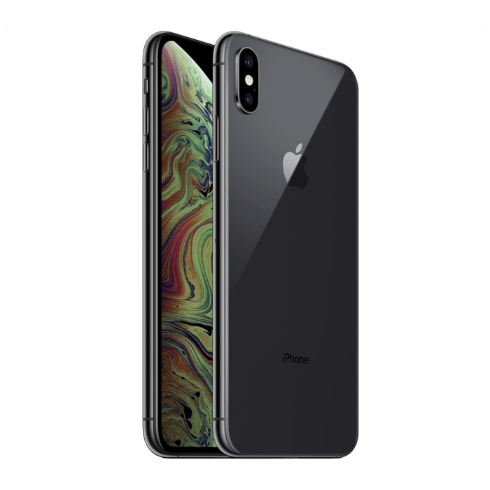 iPhone XS Max reconditionné 256 Go, Gris sidéral, débloqué, Apple iPhone  XS Max